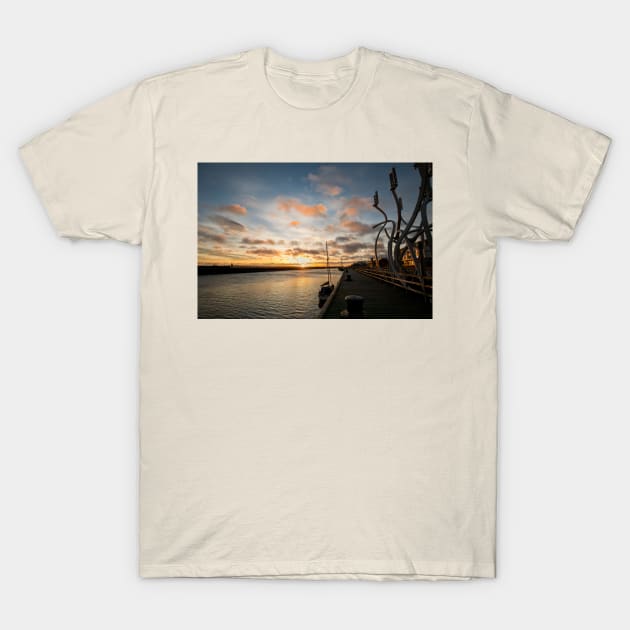 River Blyth perspective T-Shirt by Violaman